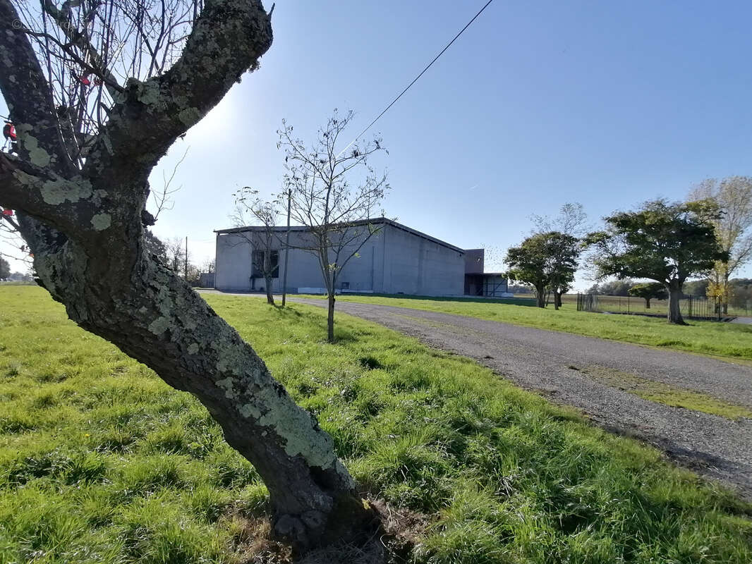 Commerce à TOULOUSE