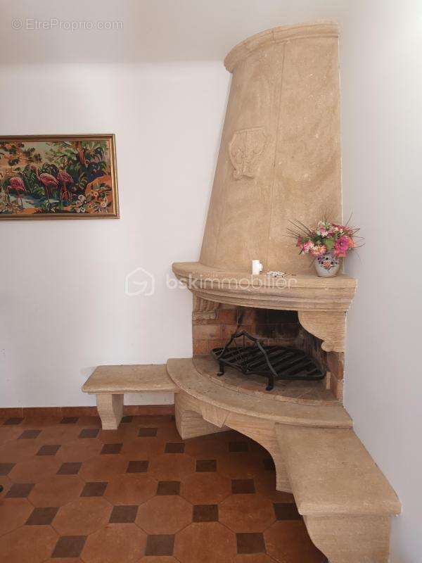 Maison à SAINT-HILAIRE-D&#039;OZILHAN