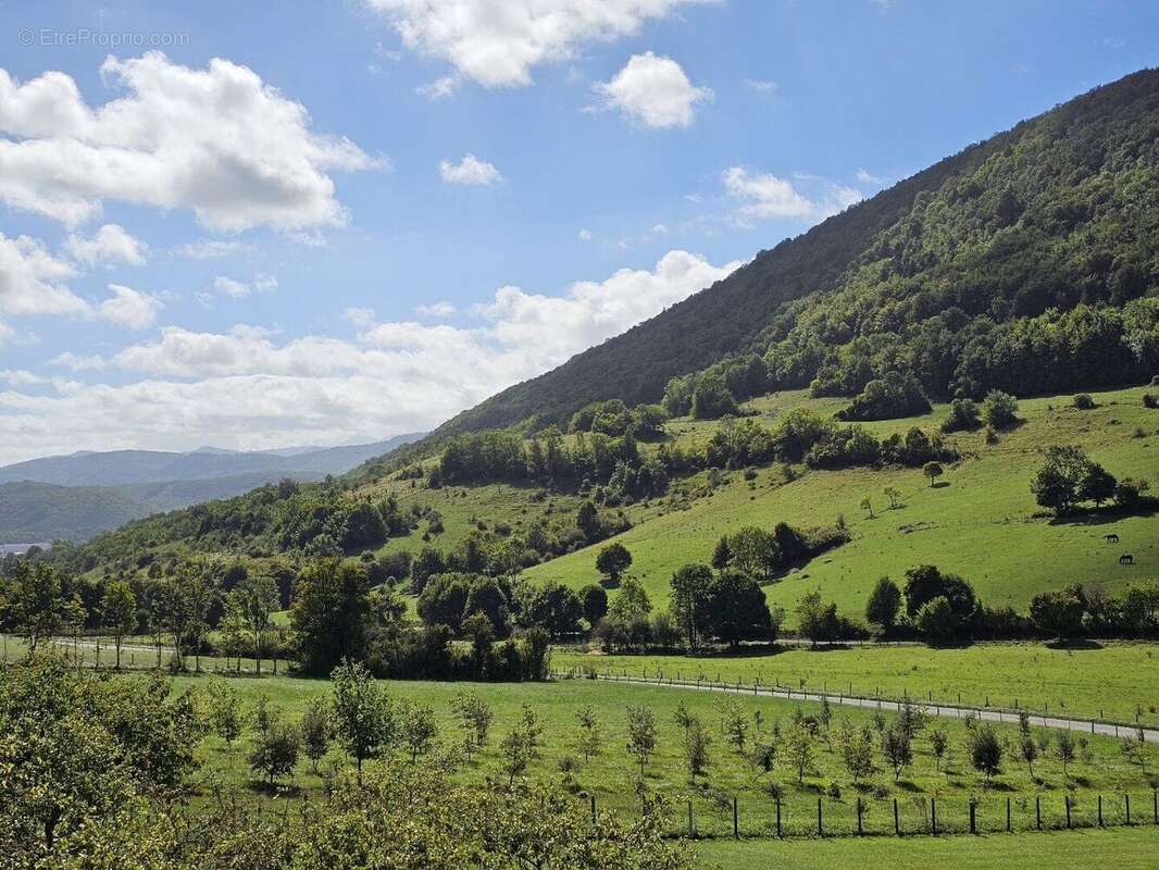 Propriété avec dépendances et parc paysagé - photo 3