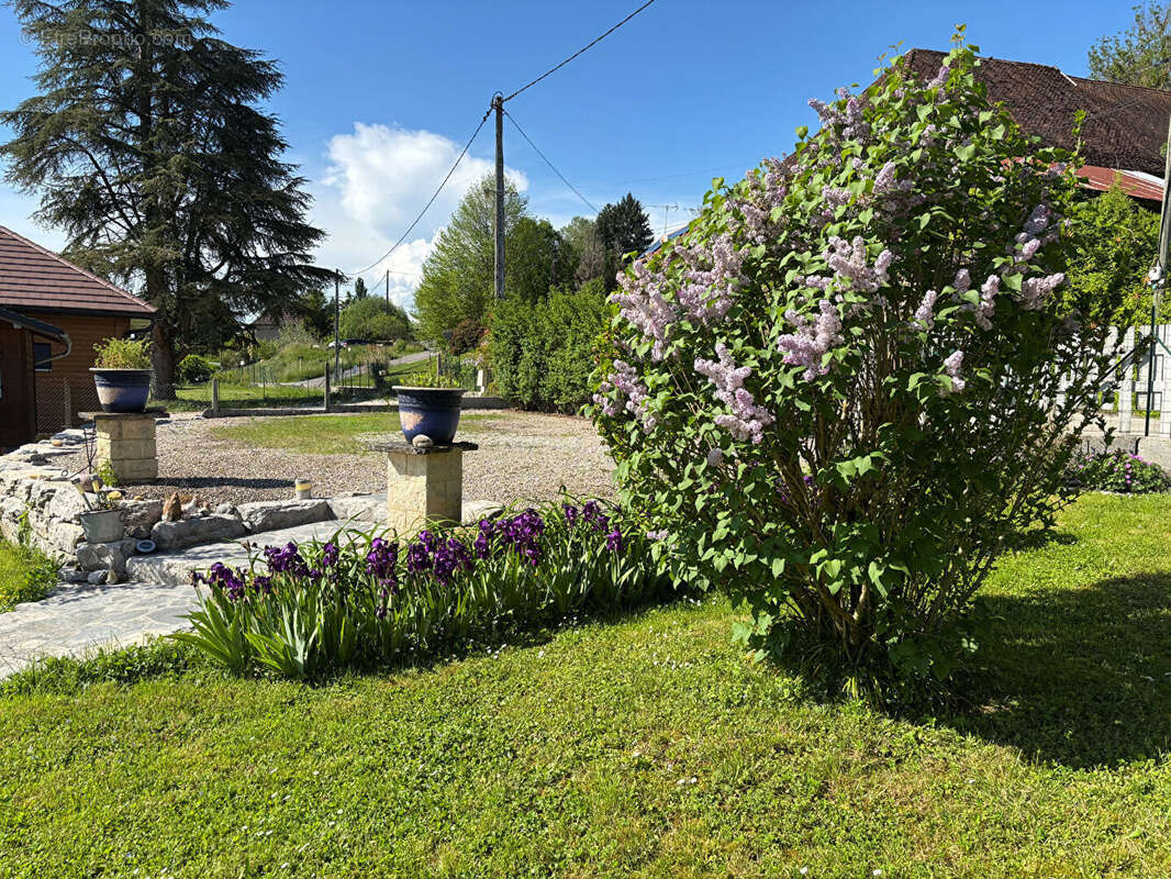 Maison à SAINT-GENIX-SUR-GUIERS