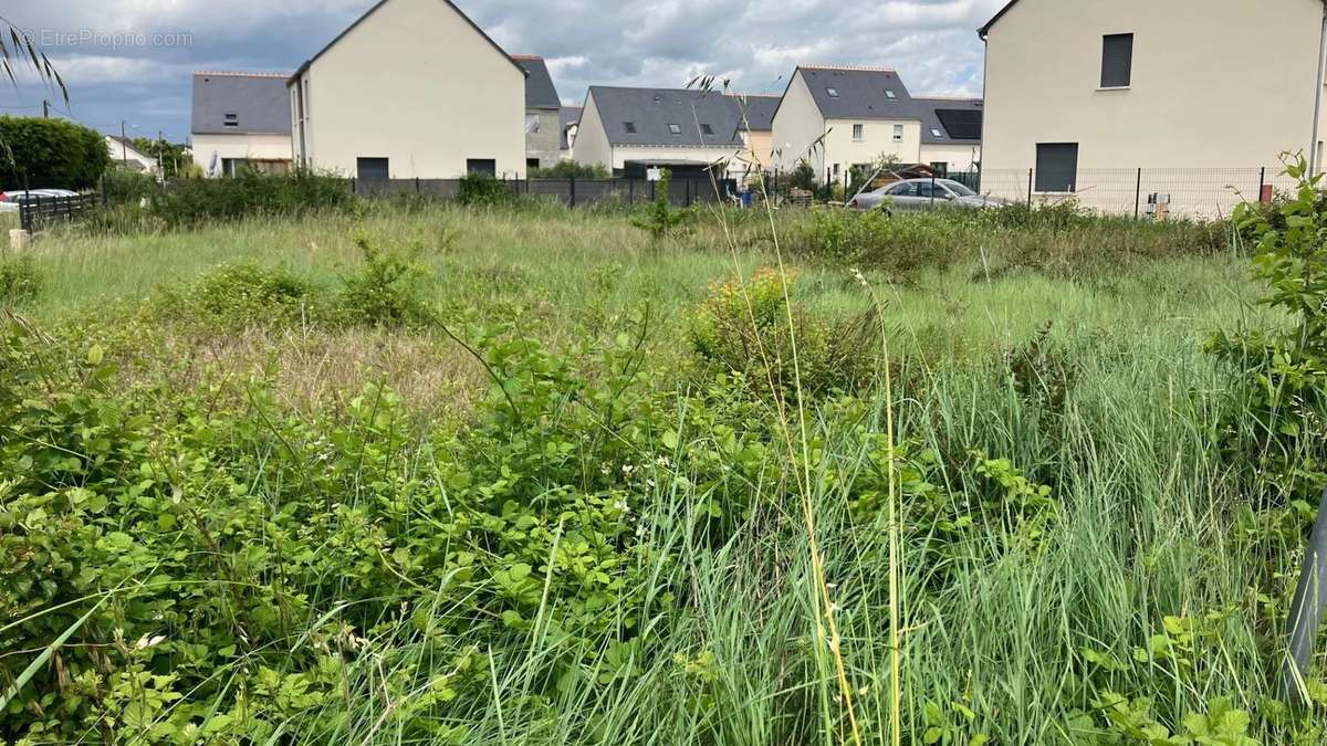 Terrain à LA VILLE-AUX-DAMES