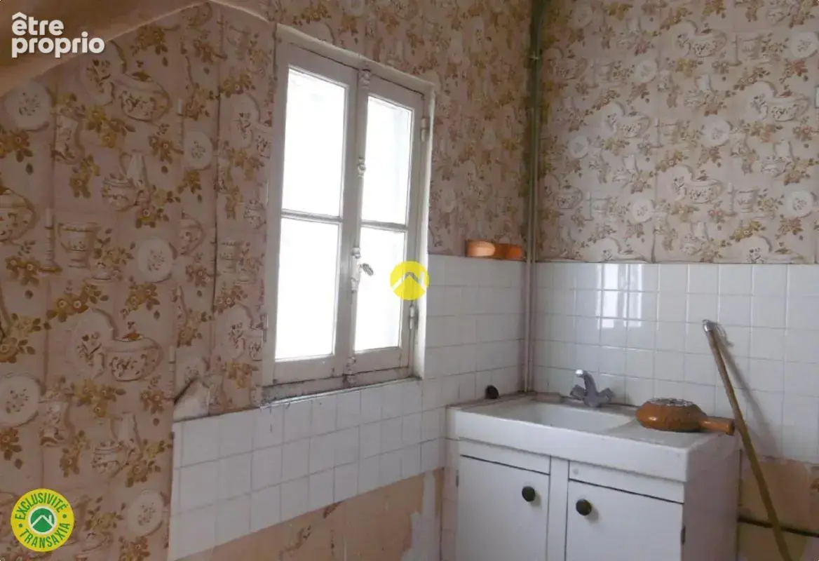 Ideal activité pro & habitation - photo 5