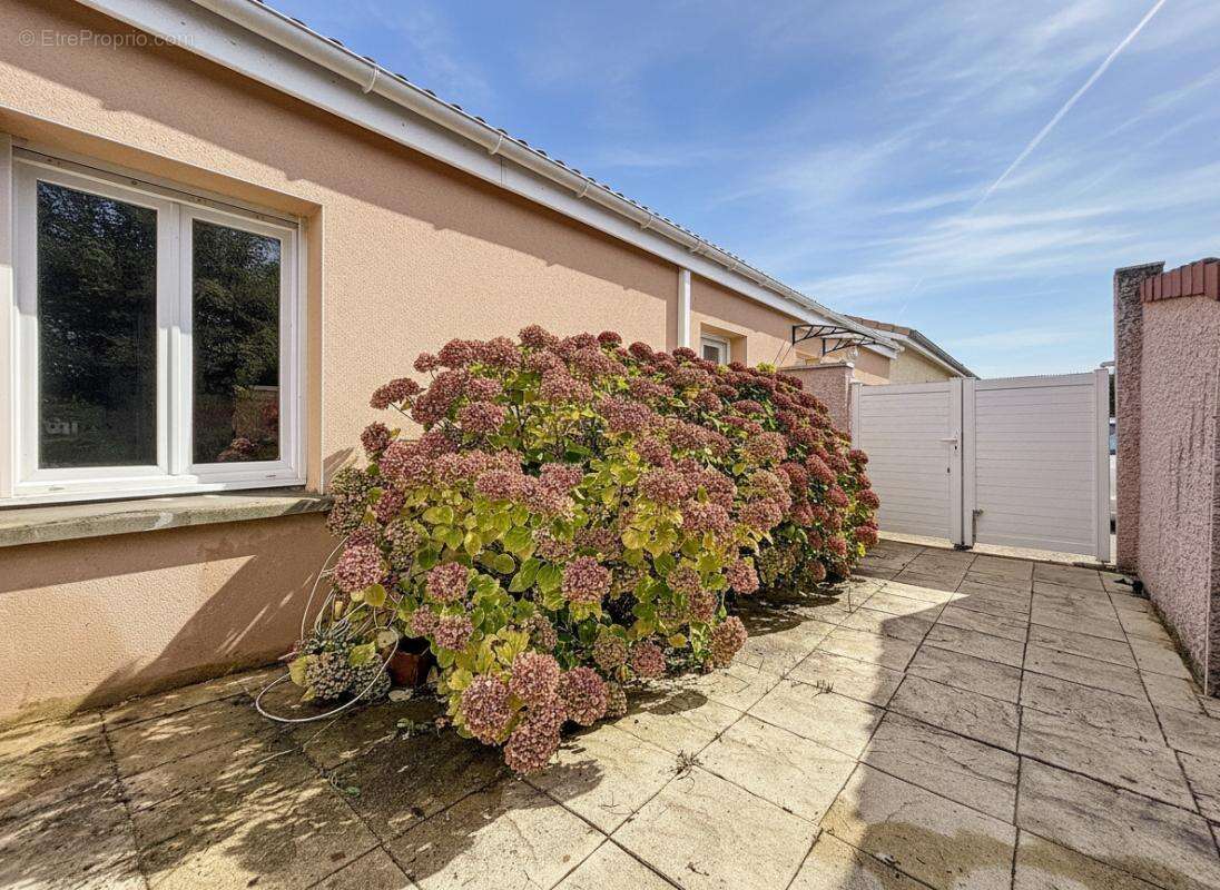 Maison - Mitoyenne par le garage - Plain pied - 3 Chambres - Garage - Piscine - Terrasse - photo 6