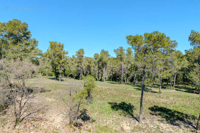 Maison à MONTPELLIER