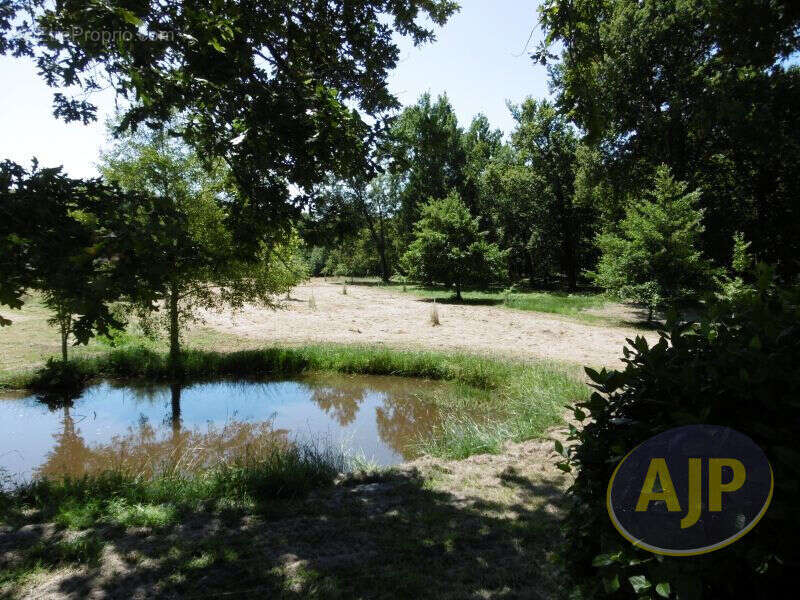 Propriété Biganos - photo 2