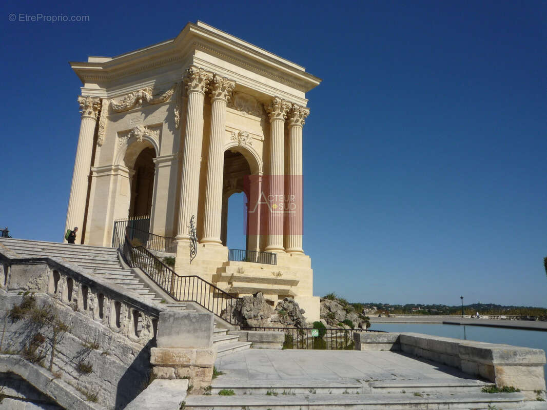 Vente appartement 3 pieces montpellier arceaux jardin des plantes - photo 12