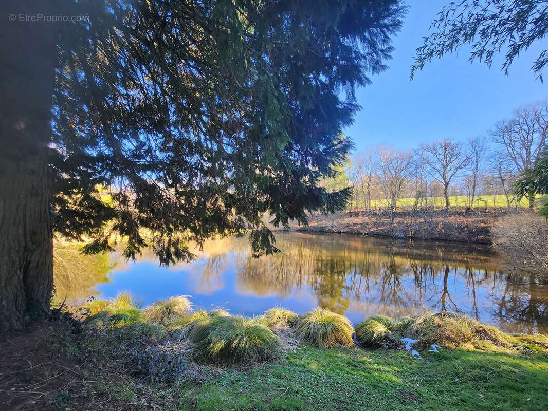 Maison à SAINT-BONNET-BRIANCE