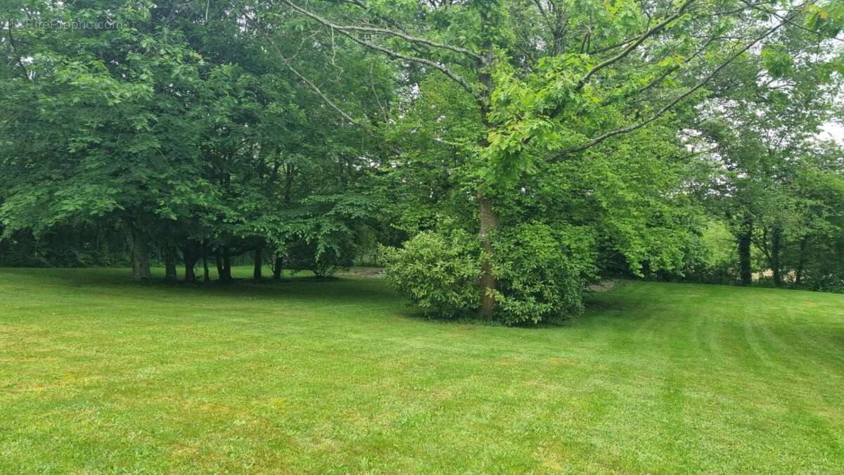 Terrain  constructible Saint Denis D' Orques 2900 m2 - photo 8
