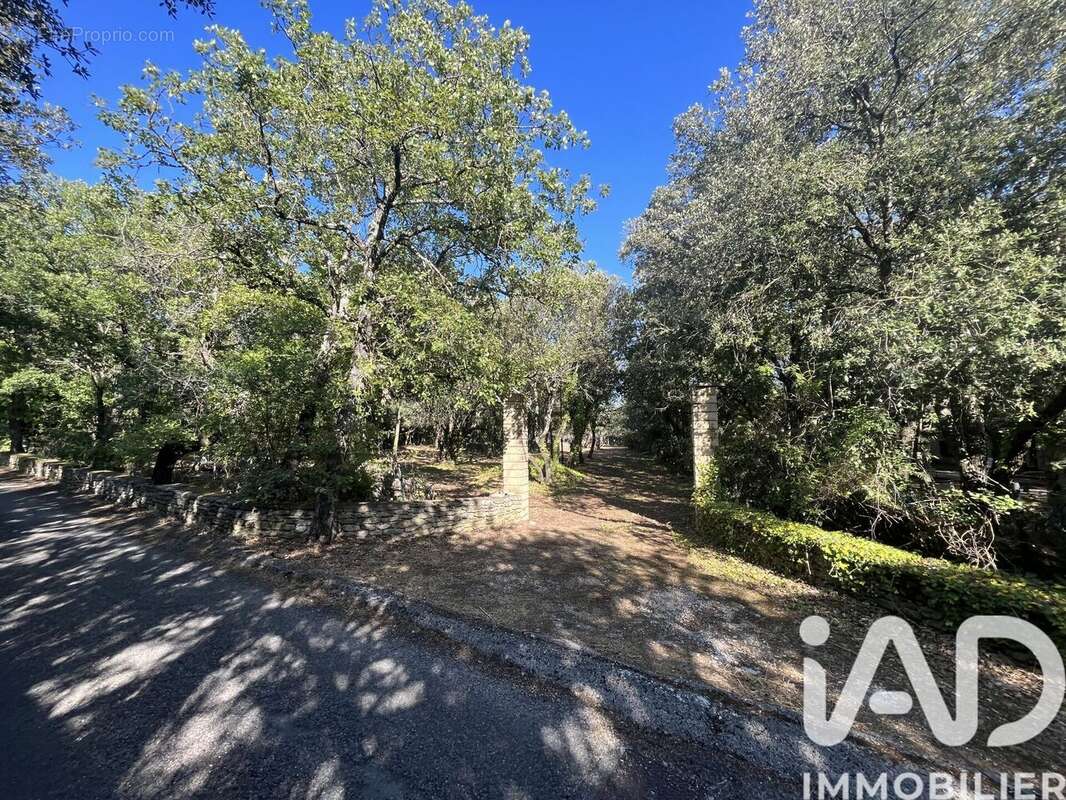 Photo 2 - Terrain à CABRIERES-D&#039;AVIGNON