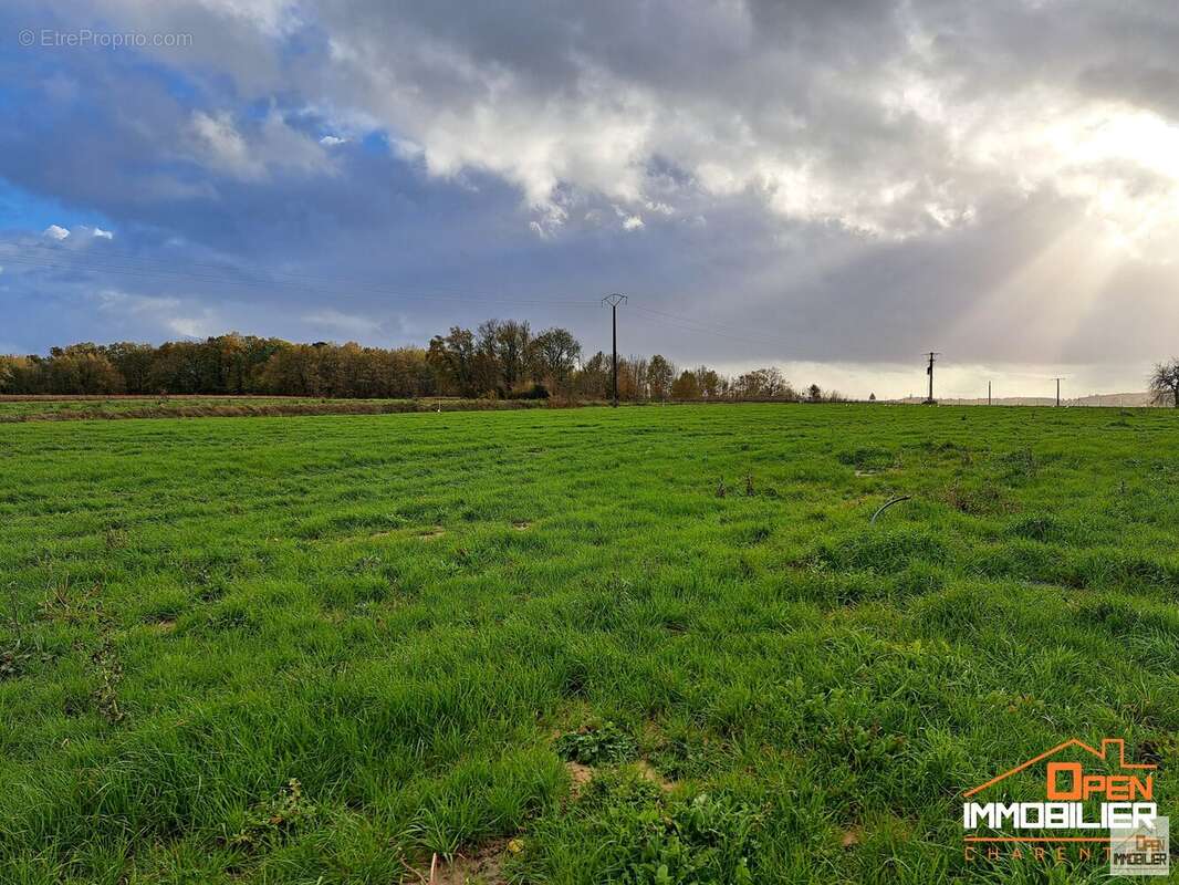 Terrain 1554 m² à Merignac  - photo 10