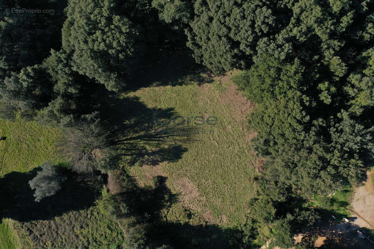 Terrain à SANTA-MARIA-SICHE