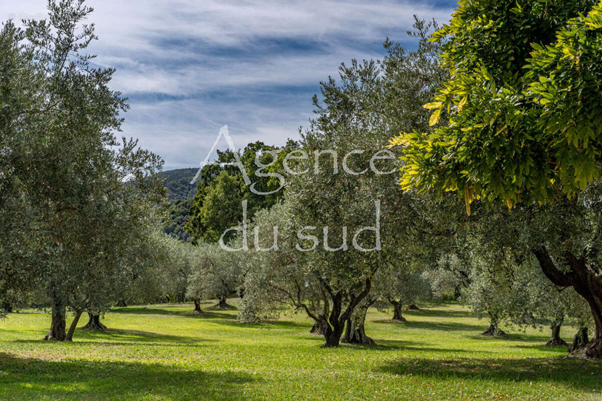 Demeure de prestige Sisteron 12 pièce(s) 311 m2 - photo 6