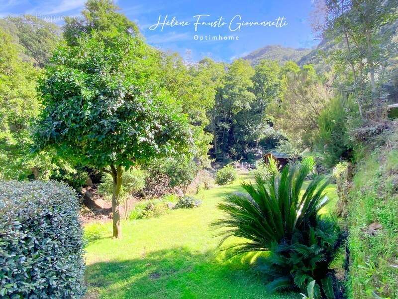 Appartement à OLETTA