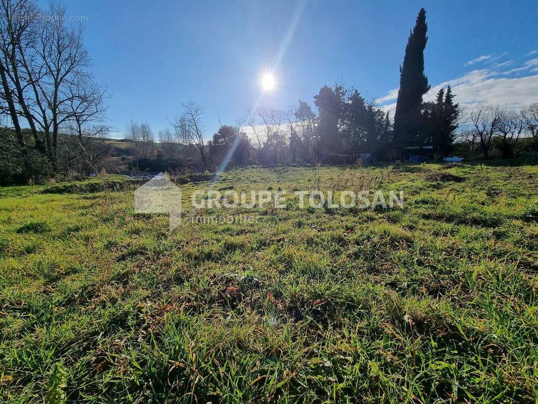 Terrain à DONNEVILLE