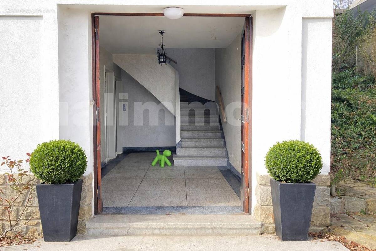 Entrée avec plantes taillées en boule - Maison à CHAMALIERES