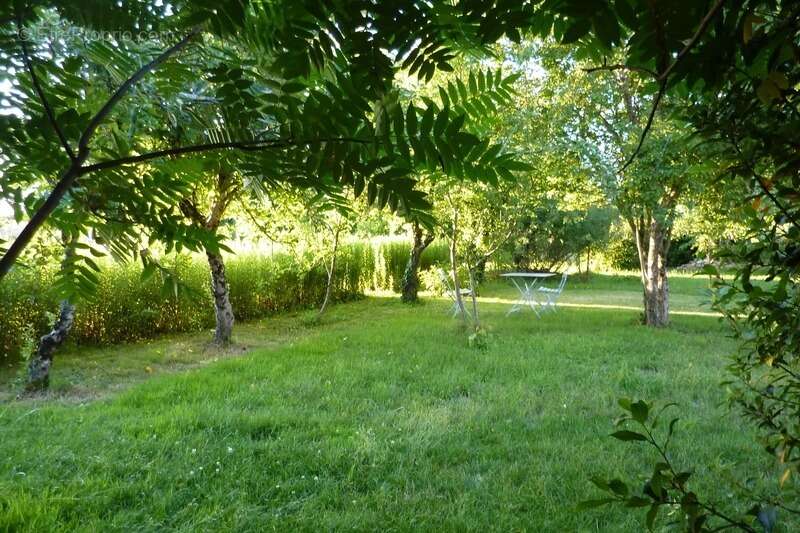 CHARENTE, COURCOME, maison 198 m², 4 chambres, grange, terrain 2401 m² clos - photo 19