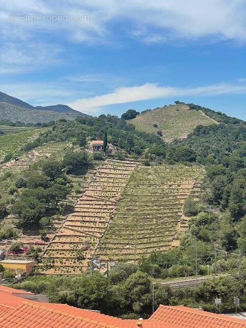 Appartement à BANYULS-SUR-MER