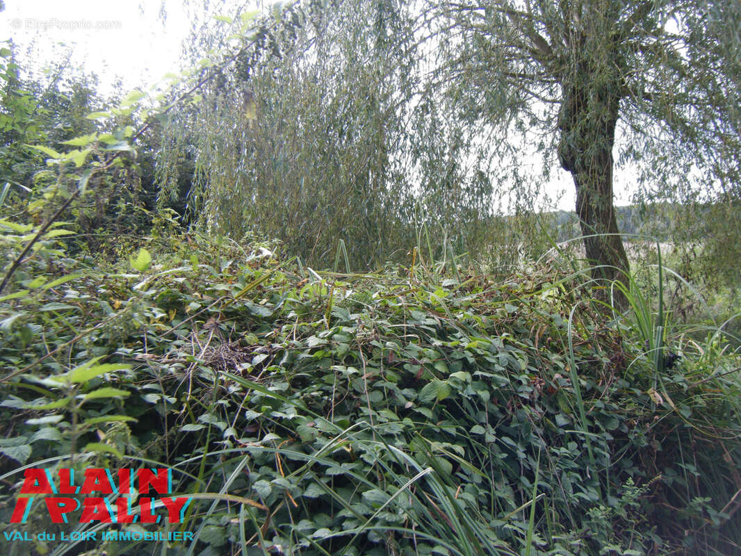 Proche cloyes - photo 2