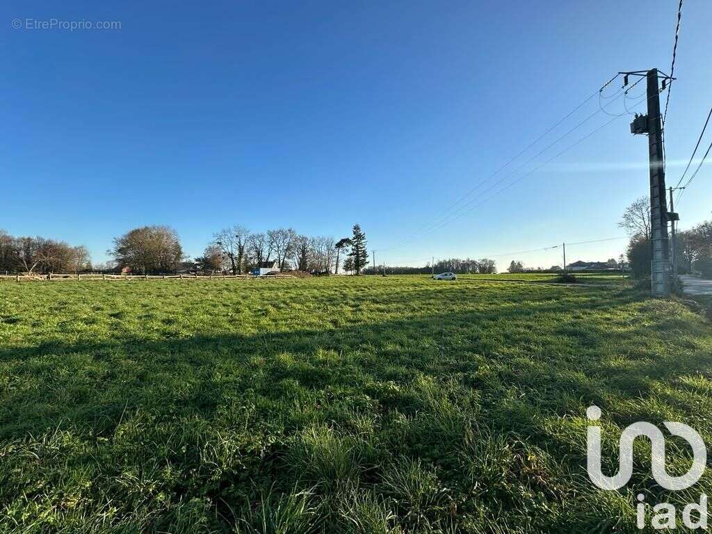 Photo 2 - Terrain à TAUPONT