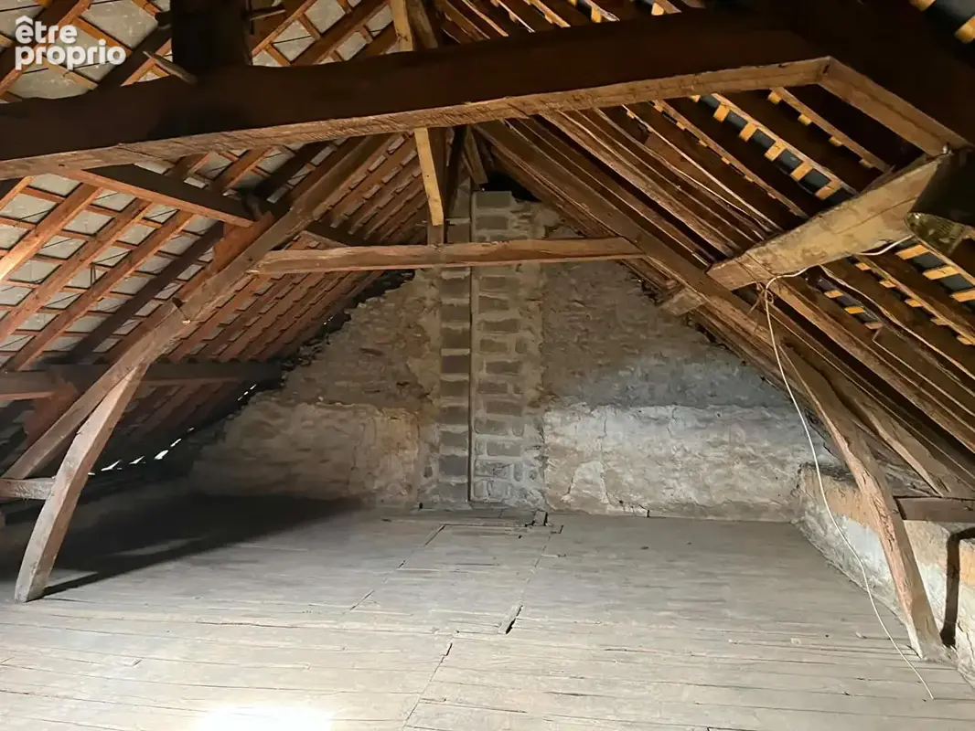 Maison de ville avec jardin et 3 garages - photo 9