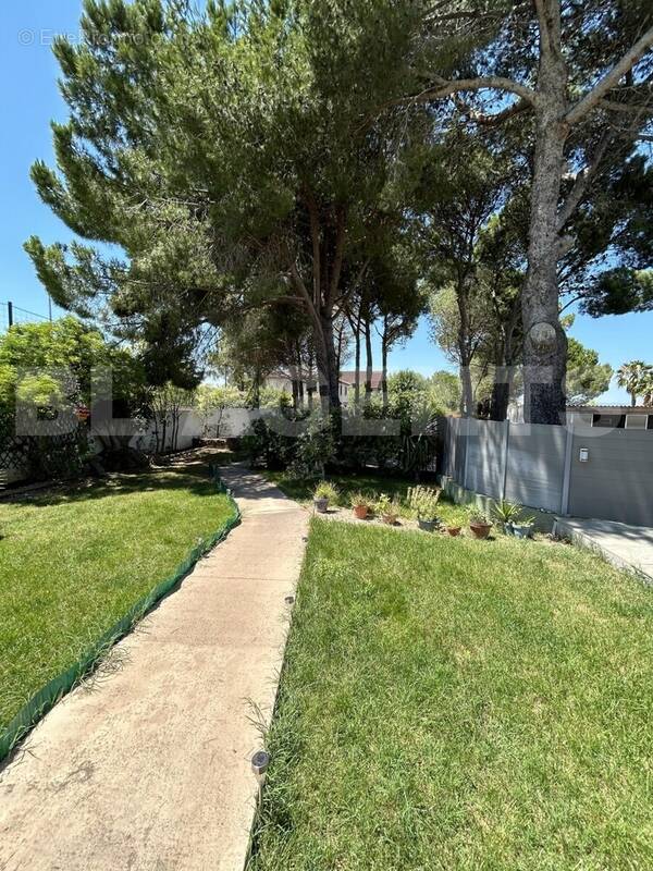 IMG_0448 - Maison à MONTBLANC