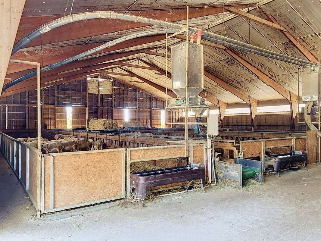 Exploitation en ovin lait - agriculture biologique - Aveyron (12) - photo 5