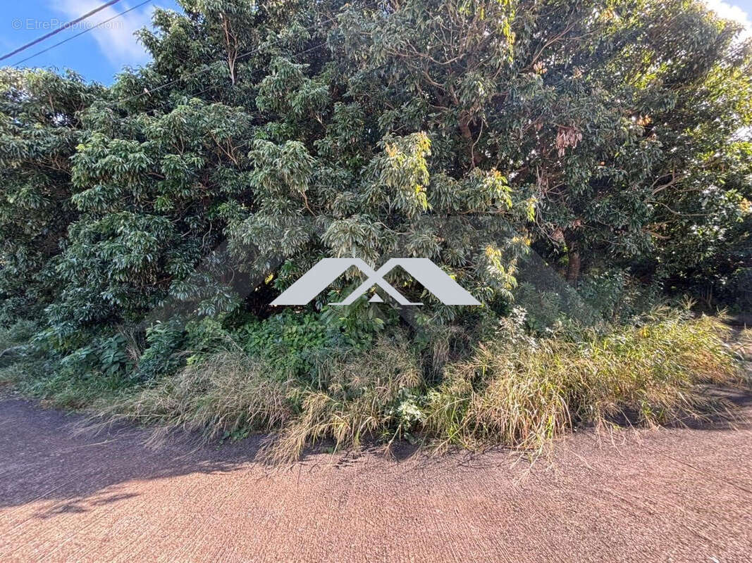 Terrain à SAINT-JOSEPH