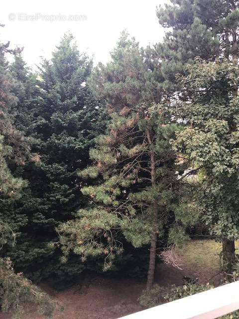 Vente appartement quartier calme - photo 2