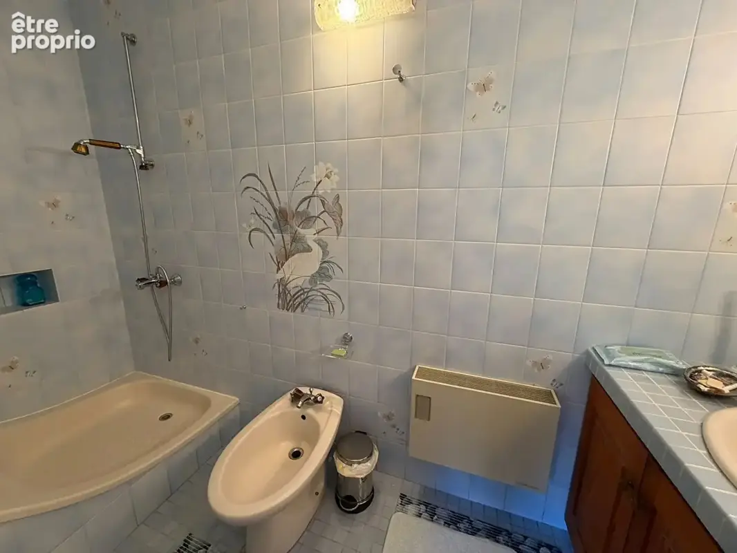 Propriété de 11 hectares avec maison, dépendance, et 2 étangs, entourée de bois. - photo 7
