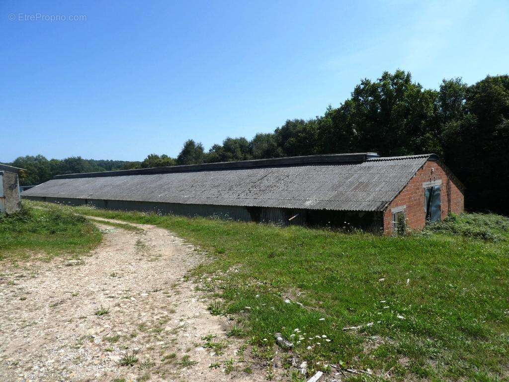 Exploitation agricole - photo 19