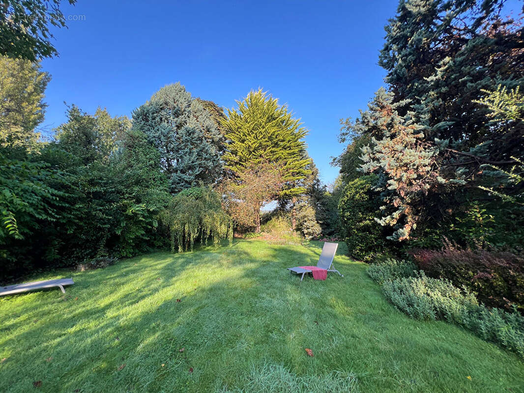 Jolie maison à rénover Bazoches-sur-Guyonnes 4 pièces 126,5m2, 1237m2 de terrain - photo 3