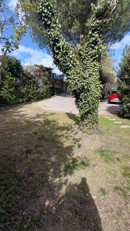 Maison à BOURG-SAINT-ANDEOL