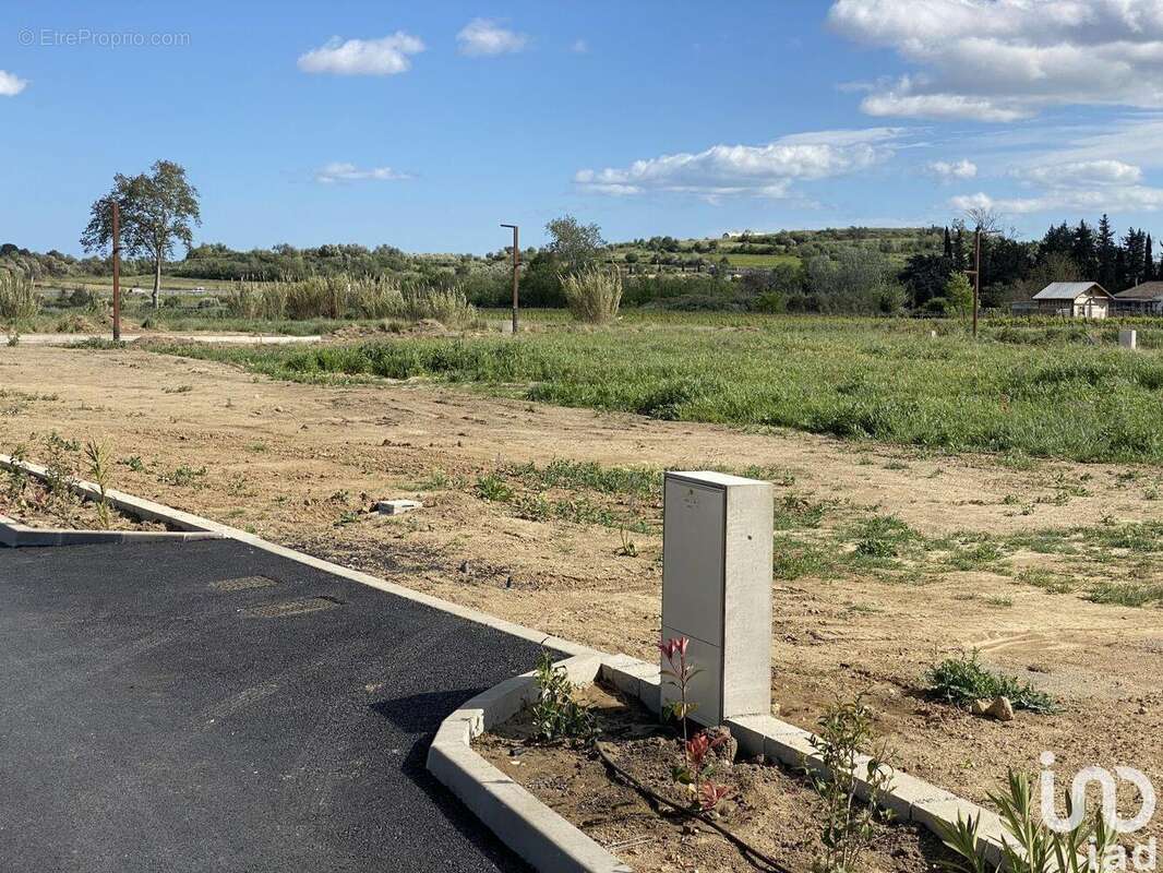 Terrain 562 m² à Tourbes  - photo 5