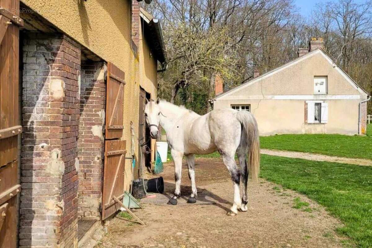Photo 8 - Maison à EVREUX
