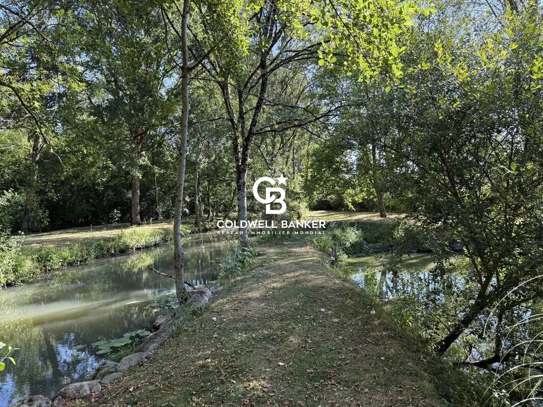 Ancien moulin de caractère – Un havre de paix au cœur de la nature - photo 15