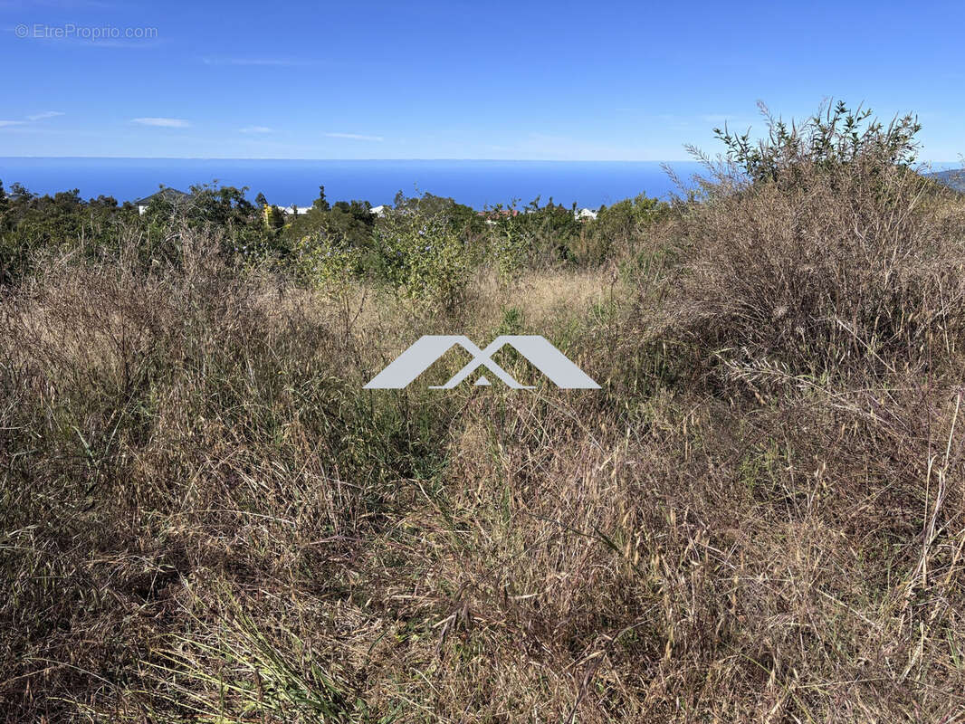 Terrain à SAINT-PIERRE