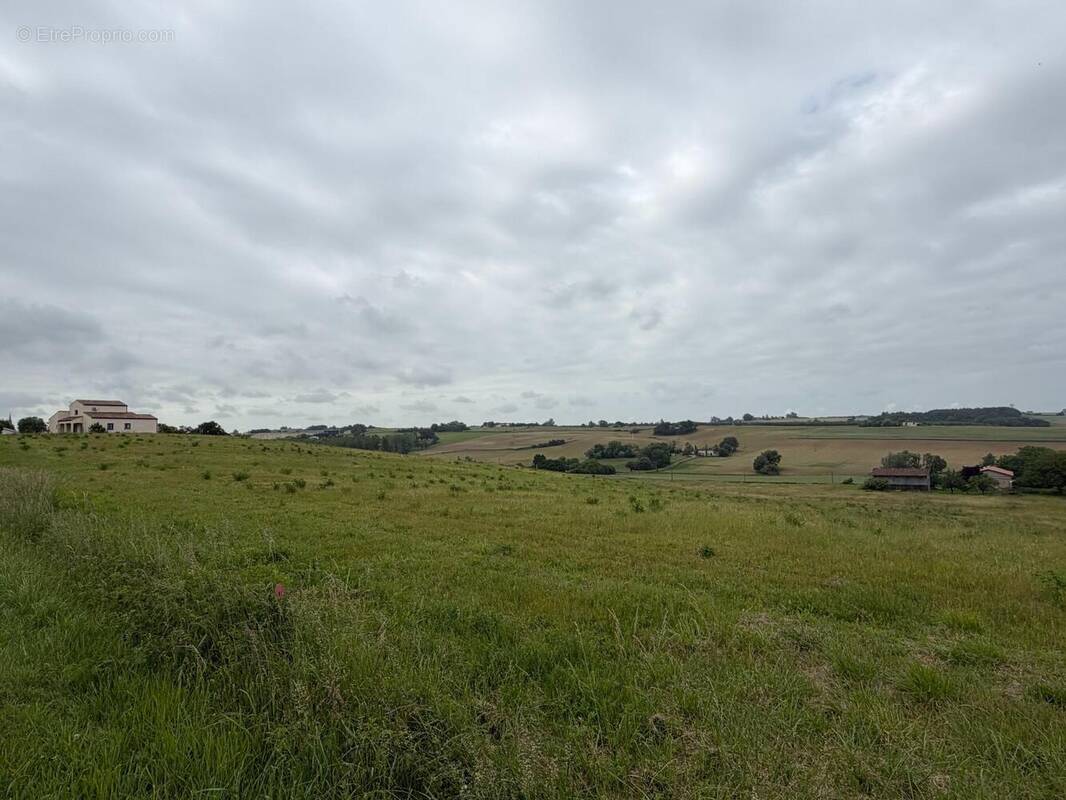 Photo 1 - Terrain à LEVIGNAC-DE-GUYENNE