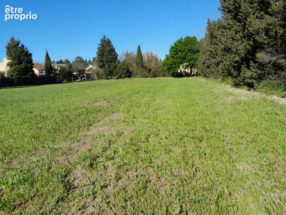 Terrain 600 m² à vendre à L'isle-Sur-La-Sorgue (84800) - photo 5
