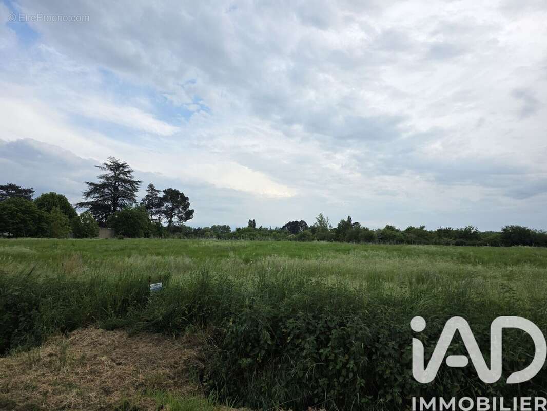 Photo 3 - Terrain à GAILLAC