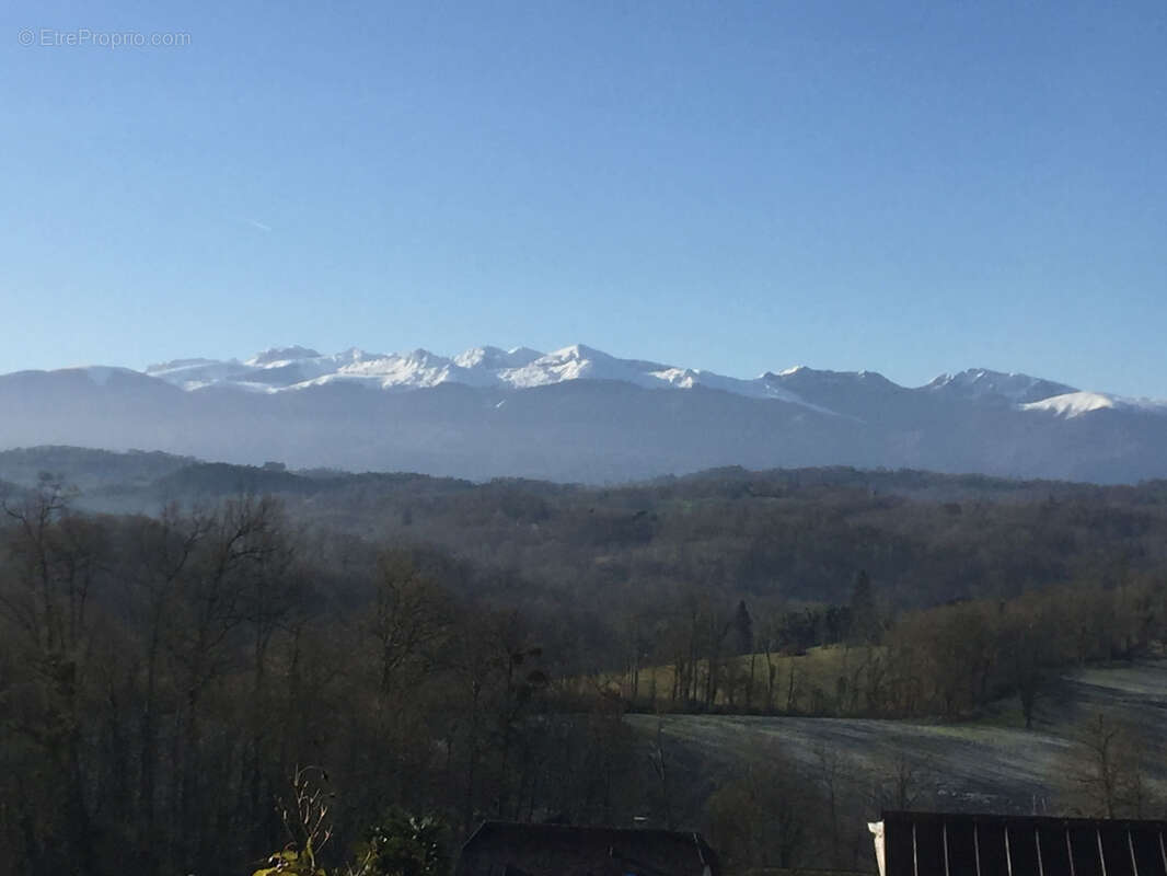 Terrain à LASSEUBE