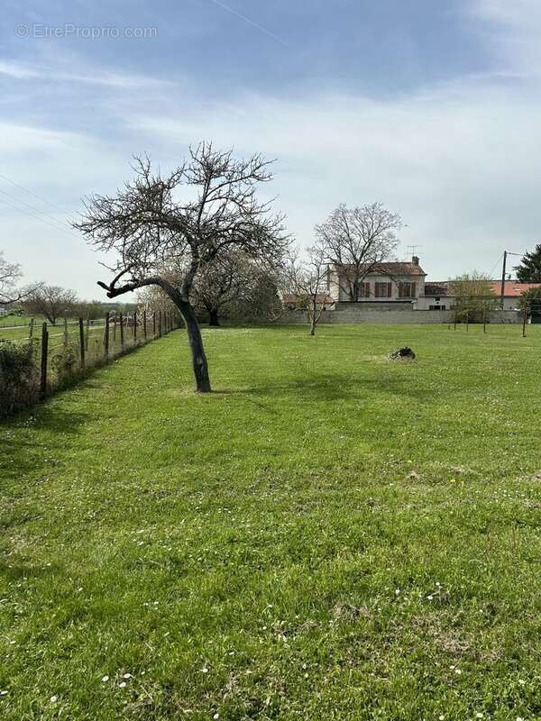 Terrain à JUILLAC-LE-COQ