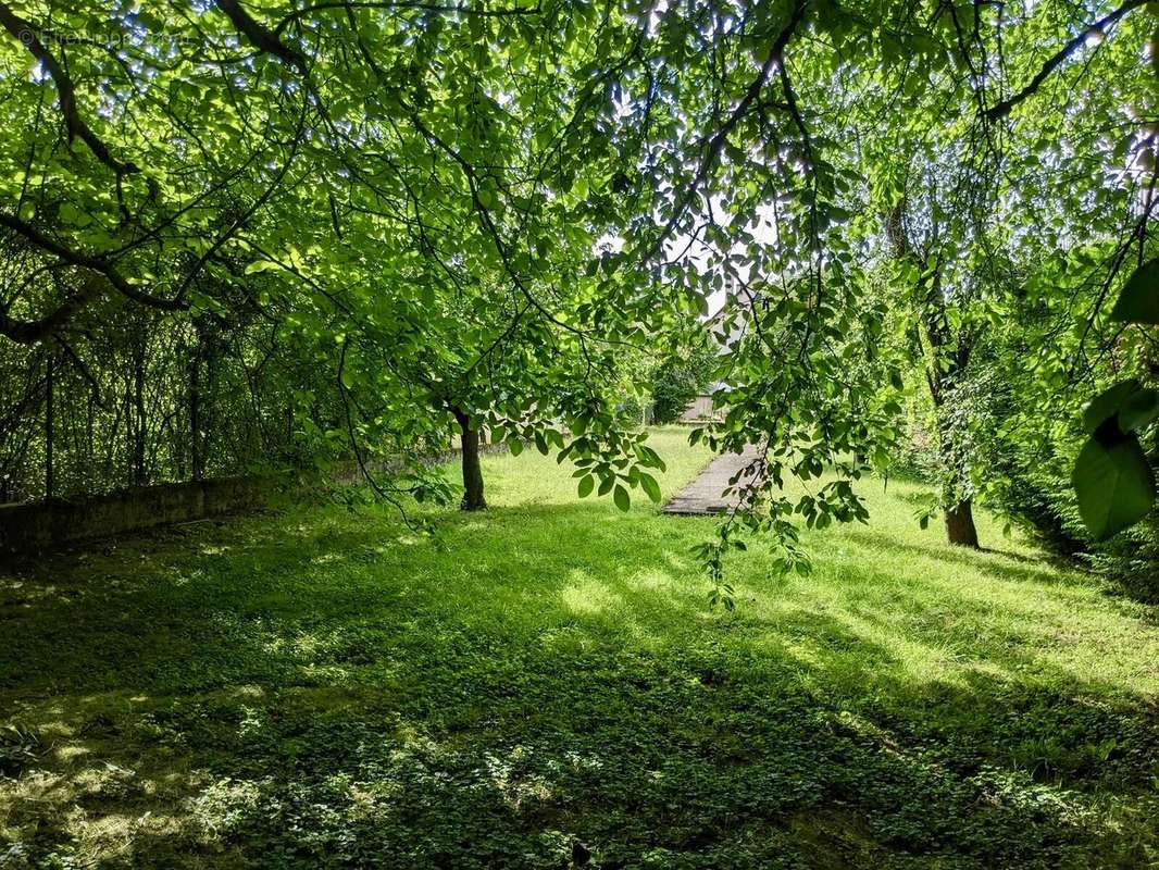 Jardin
