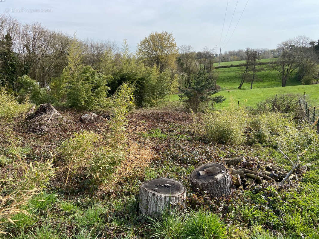 Terrain à RECQUIGNIES