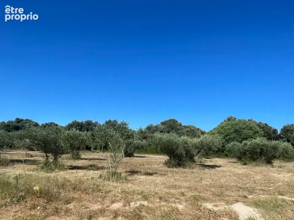 Terrain 1 700 m² à vendre à Saint-Siffret (30700) - photo 3