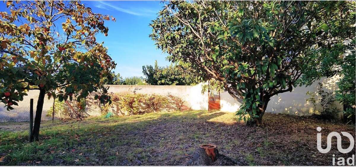 Photo 4 - Maison à THEZAN-LES-BEZIERS