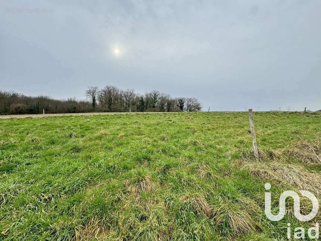 Photo 7 - Maison à SAINT-GERMAIN-DE-MONTBRON