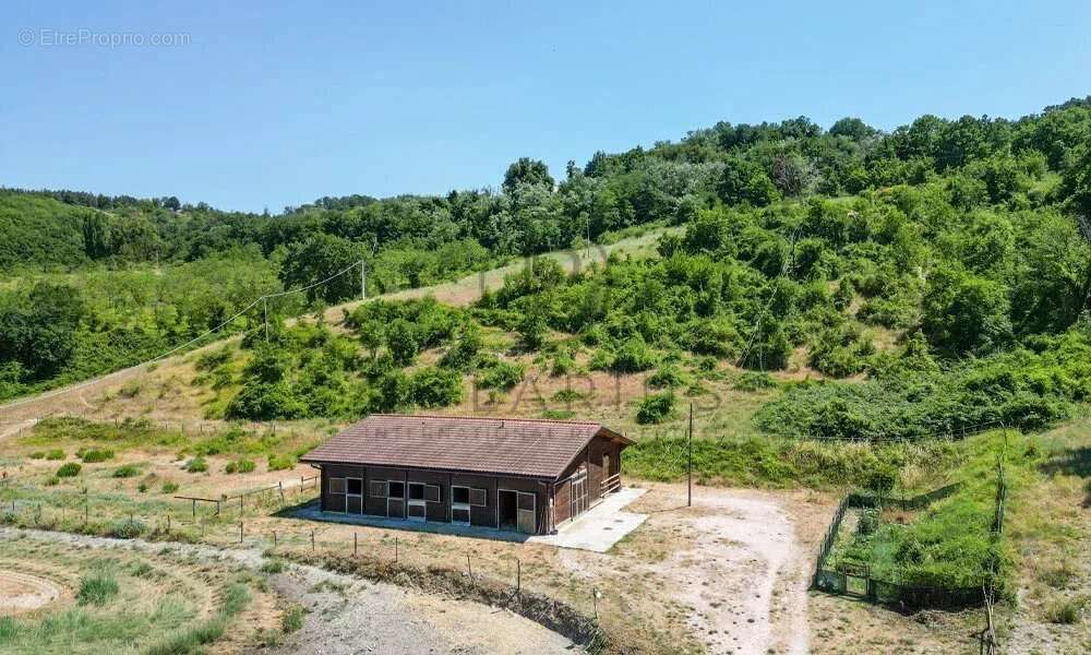 Ancienne ferme historique avec écuries et piscine, à 8 minutes d'Urbino - photo 11