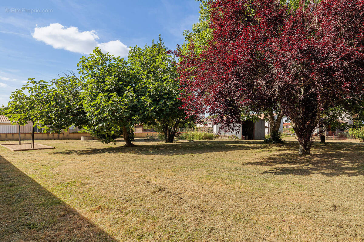 Terrain à VILLENEUVE-TOLOSANE