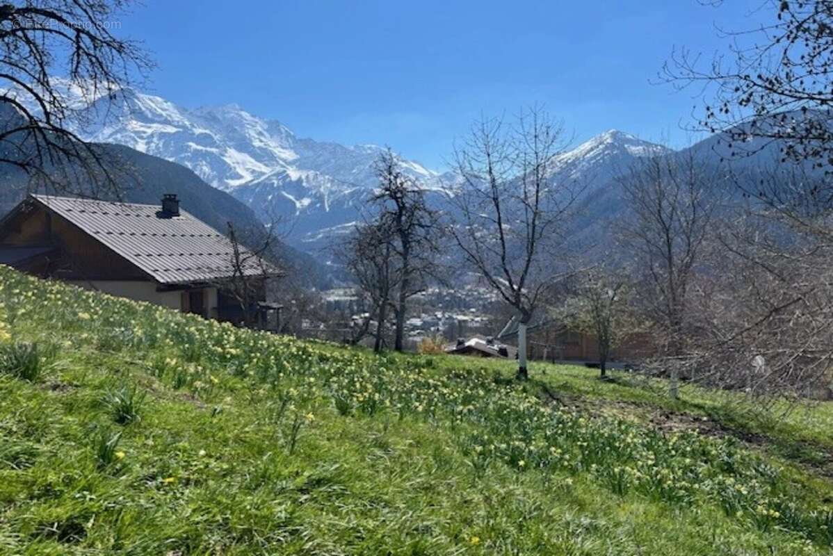 Terrain à SERVOZ