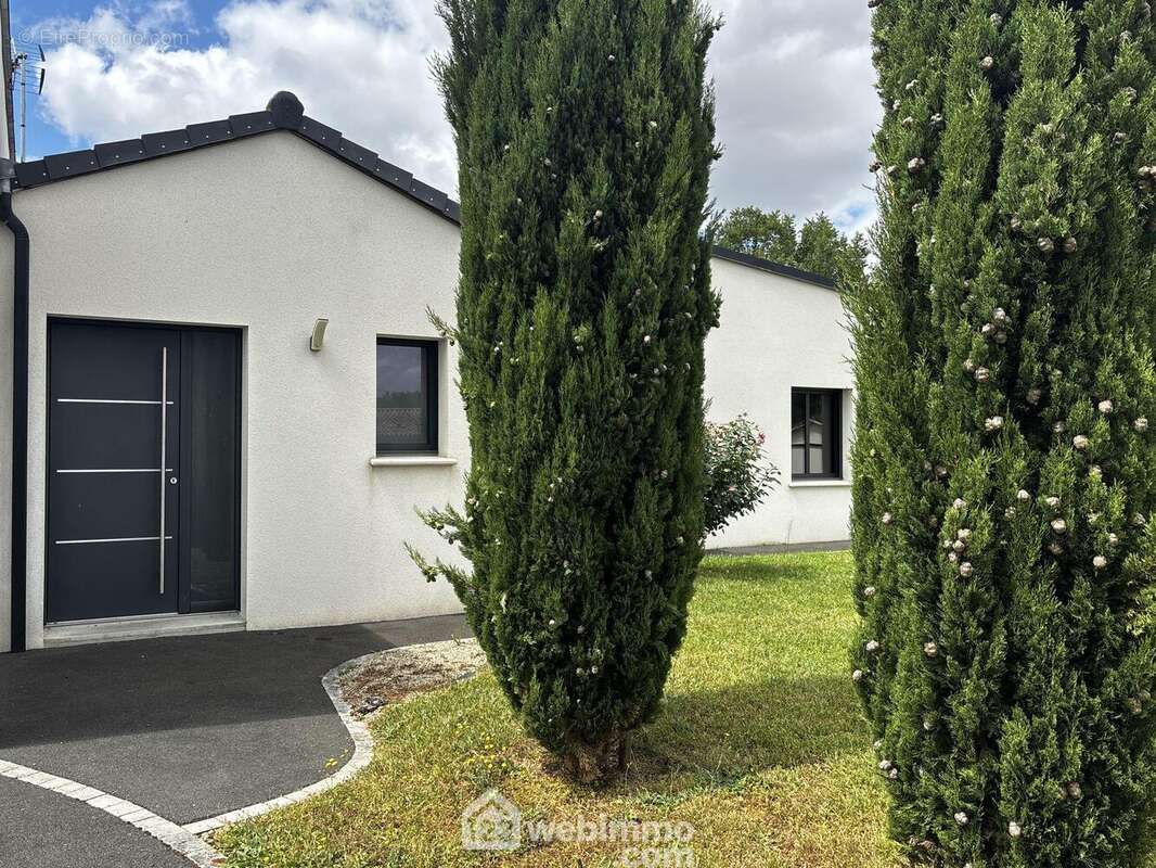 Depuis le parking, l'allée en enrobé donne accès... - Maison à MONTAMISE